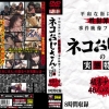 Thumbnail of related posts 170