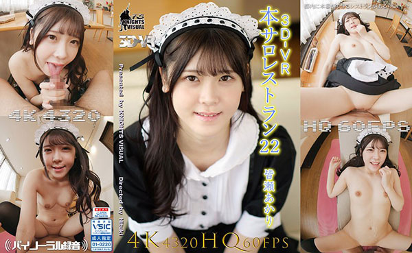 【VR】3DVR 本サロレストラン22 皆瀬あかり